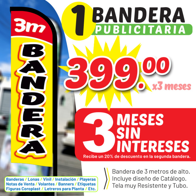 1 Bandera con Diseño de nuestro catálogo.